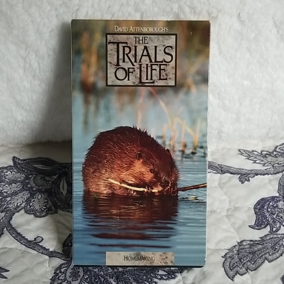 Vintage 1991 David Attenborough's "The Trials of Life" Time Life 12 VHS Box Set - Picture 9 of 15